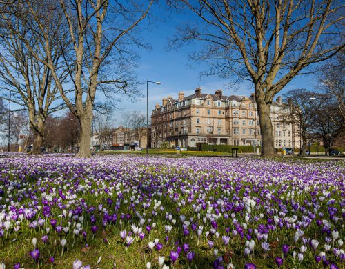 Harrogate