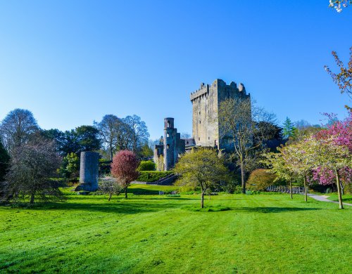 Cork