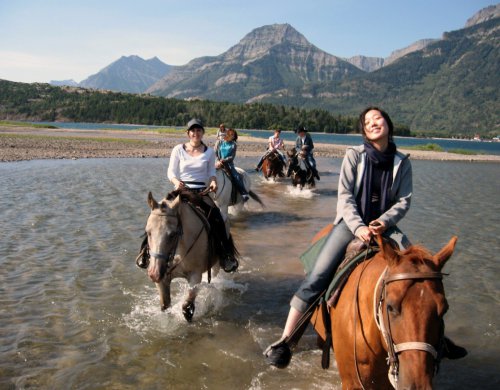 Global Village Calgary