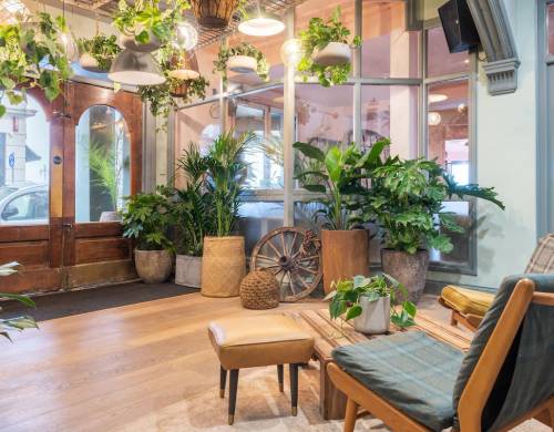 Sprachcaffe Brighton (12 – 17 rokov)