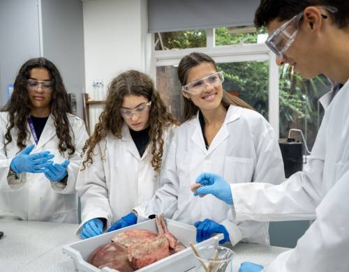 Kensington Park Summer School - Medicine