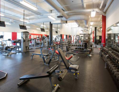 TLA Miami (15 – 18 rokov)